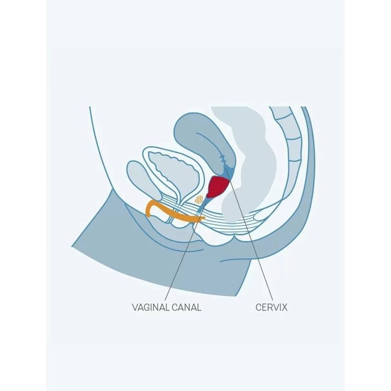 FUN FACTORY - FUN COUPE VAGINALE TAILLE B UVS