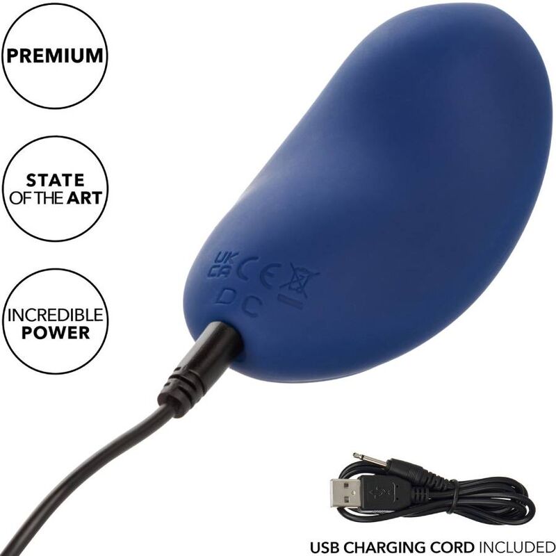 CALEXOTICS - CACHEMIRE VELOURS CURVE BLEU