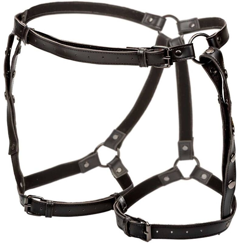 CALEXOTICS - HARNAIS DE CUISSE D'ÉQUITATION EUPHORIA