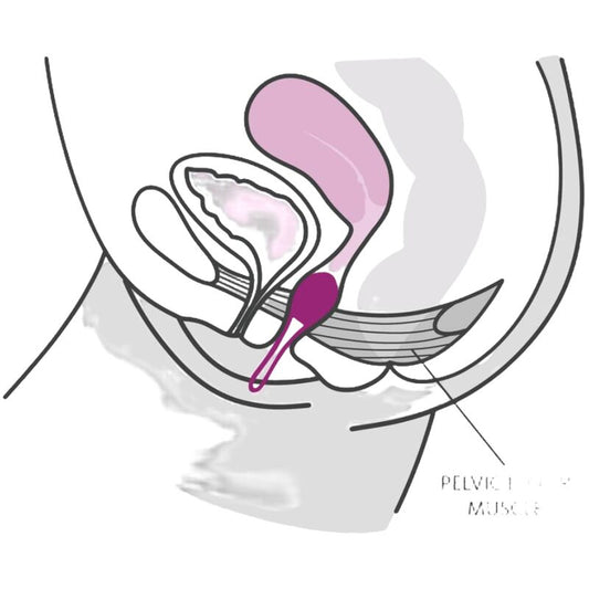 FUN FACTORY - SMARTBALL UNO BALLON PELVIEN BLANC / VERT PISTACHE