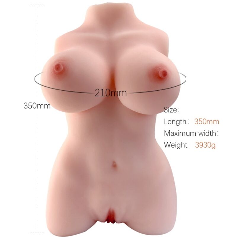 ARMONY - MODÈLE DE TORSE FÉMININ RÉALISTE 3