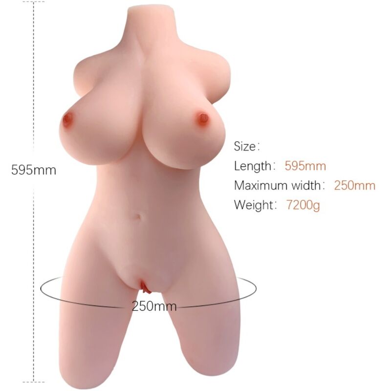 ARMONY - MODÈLE DE TORSE FÉMININ RÉALISTE 2