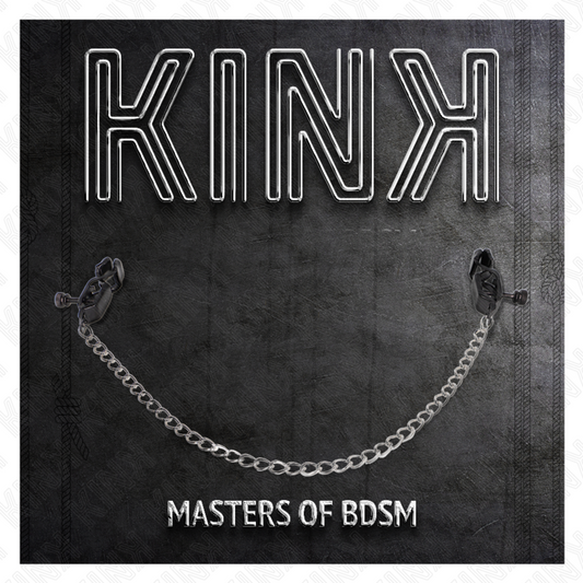 KINK - PINCES À TÉTONS PLATES NOIRES AVEC CHAÎNE ARGENTÉE 30 CM