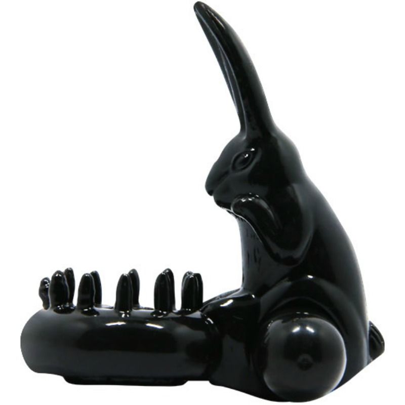 DANSE - SWEET RING RING AVEC LAPIN