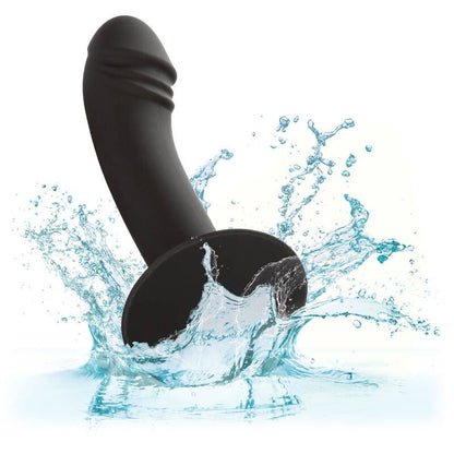 CALEXOTICS - STUD ANAL COURBÉ