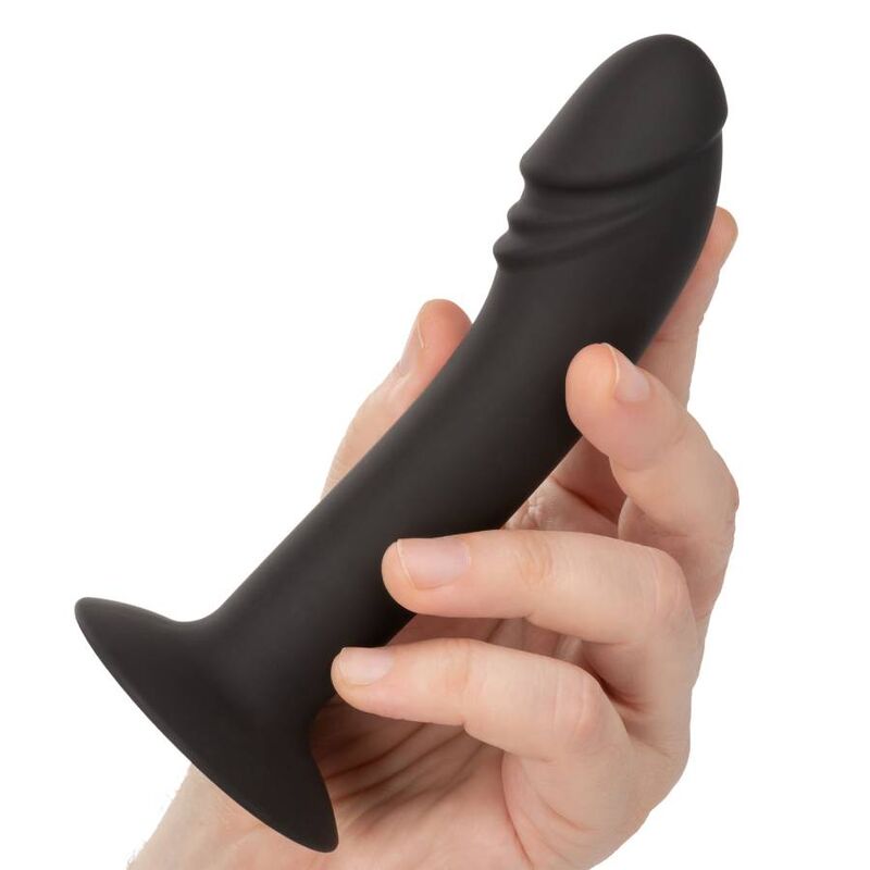 CALEXOTICS - STUD ANAL COURBÉ