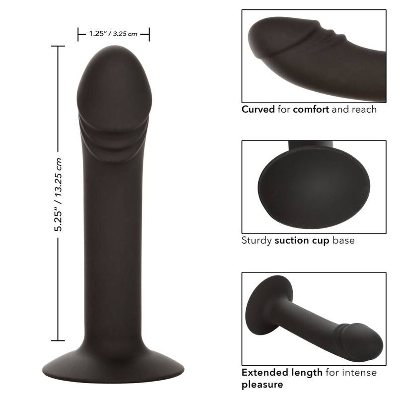 CALEXOTICS - STUD ANAL COURBÉ