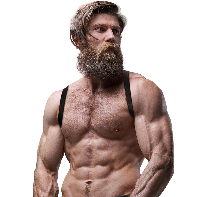 ATTITUDE DE SOUMISSION FÉTICHISME - HARNAIS DOS EN CUIR ÉCOLOGIQUE POUR HOMME