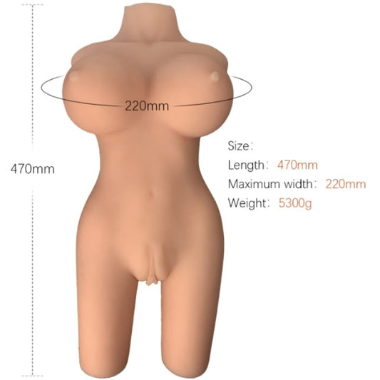 ARMONY - MODÈLE DE TORSE FÉMININ RÉALISTE 6