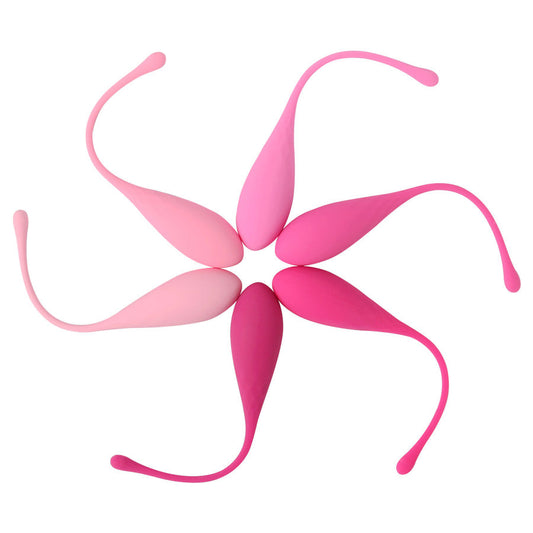 LESLIE - KEGEL FIT ACCOUCHEMENT PELVIEN 6 POIDS