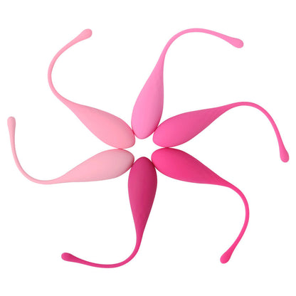 LESLIE - KEGEL FIT ACCOUCHEMENT PELVIEN 6 POIDS