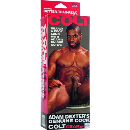 CALEXOTICS - PÉNIS RÉALISTE COLT ADAM DEXTER